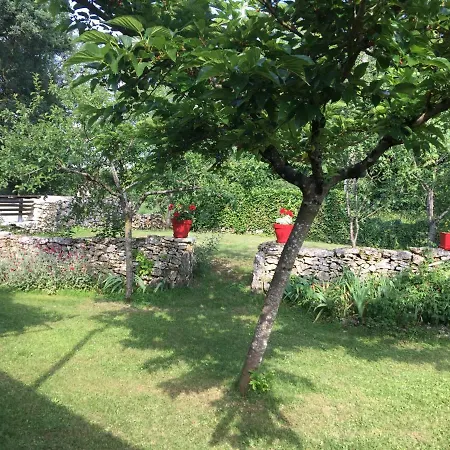 Vakantiehuis Forgeroc Saint-Cirq-Lapopie